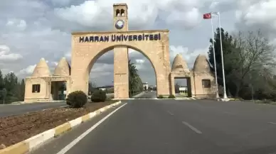 Harran Üniversitesi Fuhuş Olayı Ne, Yüksek Lisans Öğrencilerine Cinsel İstismar mı Var, Soruşturma Başlatıldı mı?