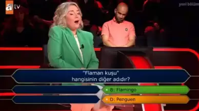 Flaman kuşu diğer adı ne? Flamingo kuşunun diğer adı nedir? Kim Milyoner Olmak İster sorusu ve cevabı