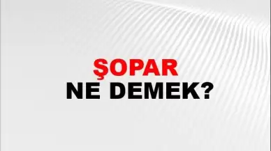 Şopar Kelime Anlamı Nedir, Kime Şopar Denir? Şopar Küfür mü, Argo mu?